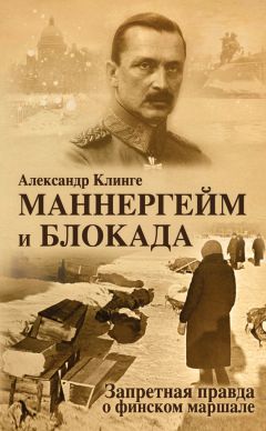 Александр Клинге - «Штукас». Асы Блицкрига в бою
