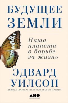 Эдвард Уилсон - Происхождение творчества. Провокационное исследование: почему человек стремится к созданию прекрасного