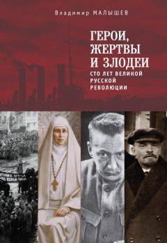 Давид Анин - Революция 1917 года глазами ее руководителей