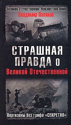 Владимир Поляков - Страшная правда о Великой Отечественной. Партизаны без грифа «Секретно»