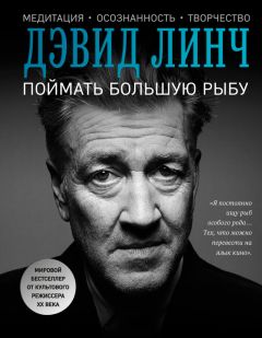 Дэвид Линч - Поймать большую рыбу. Медитация, осознанность, творчество