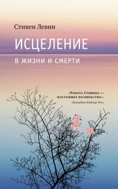 Светлана Хабонен - Секрет по-русски. Исцеление кризисом