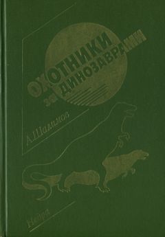 Александр Шалимов - Когда молчат экраны. Научно-фантастические повести и рассказы