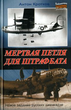 Герберт Крафт - Фронтовой дневник эсэсовца. «Мертвая голова» в бою