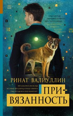 Ринат Валиуллин - Привязанность