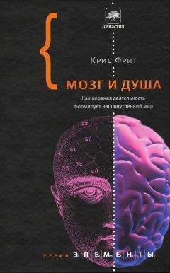 Крис Фрит - Мозг и душа: как нервная деятельность формирует наш внутренний мир