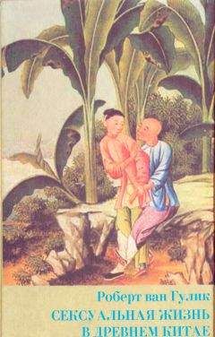 Роберт Гулик - Сексуальная жизнь в древнем Китае