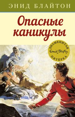 Энид Блайтон - Возвращение на остров сокровищ