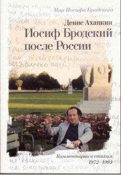 А. Долинин - Владимир Набоков: pro et contra T2