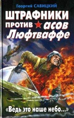 Сергей Михеенков - Штрафники против гитлеровского спецназа. Операция «Черный туман»