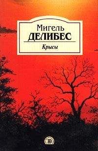 Жюльен Грин - Обломки