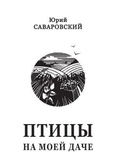 Александр Про - Концерт для дамы с оркестром. Фильм на бумаге