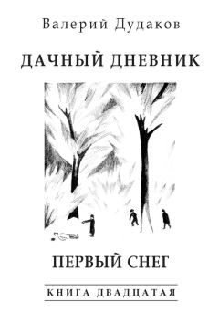 Валерий Дудаков - А почему бы и нет… «Снежный романс»