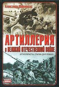 Александр Широкорад - Боги войны. «Артиллеристы, Сталин дал приказ!»