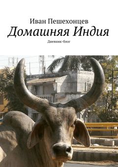 Дм. Кривцов - Партизан пустоты