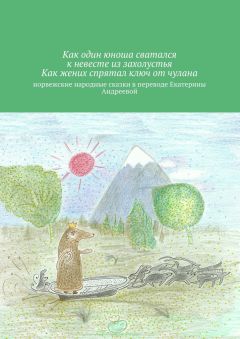 Екатерина Андреева - Как один юноша сватался к невесте из захолустья. Как жених спрятал ключ от чулана