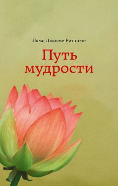 Джигме Ринпоче - Путь мудрости