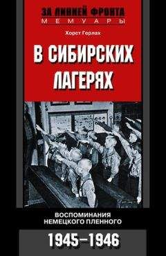 Бенно Цизер - Дорога на Сталинград. Воспоминания немецкого пехотинца. 1941-1943.