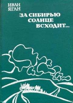 Виктор Потанин - Провинциальный человек