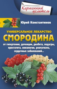 Юрий Константинов - Уникальное лекарство малина. При атеросклерозе, простуде, бесплодии, гипертонии, ожирении