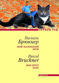 Паскаль Брюкнер - Божественное дитя