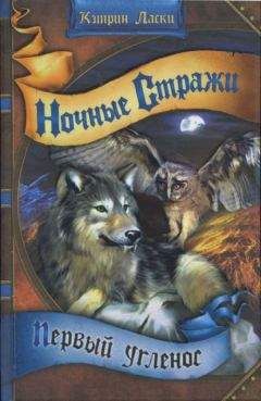 Диана Джонс - Дорога ветров