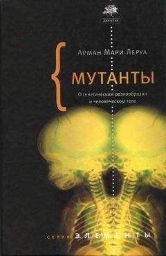 Даглас Хофштадтер - Глаз разума