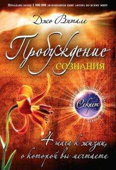 Дэвид Чалмерс - Сознающий ум. В поисках фундаментальной теории