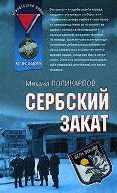 Михаил Поликарпов - Донбасс. От Славянска до Дебальцево. Хроники, записанные кровью. Окопная правда гражданской войны