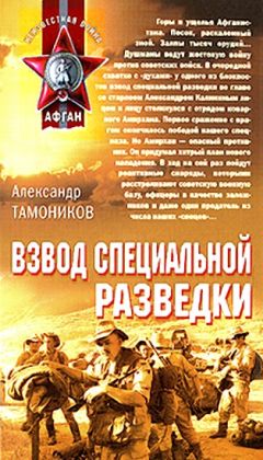 Александр Тамоников - Солдаты из гранита