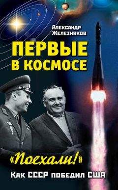 Александр Андреев - Настоящая история казацкой Украины