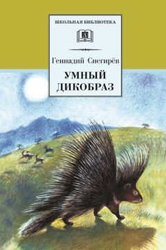 Геннадий Снегирев - Умный дикобраз (сборник)