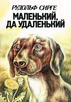 Сергей Юнатов - Зимой и летом