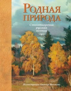 Виктор Меркушев - Петербург в произведениях поэтов «Золотого» и «Серебряного» века русской литературы