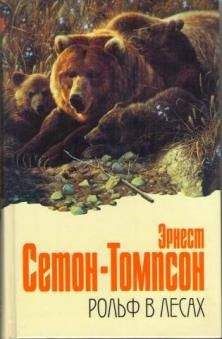 Юрий Сотник - 