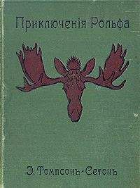Алексей Кавокин - Легат Пелагий