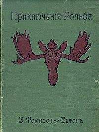 Майкл Коуни - Кот по имени Сабрина