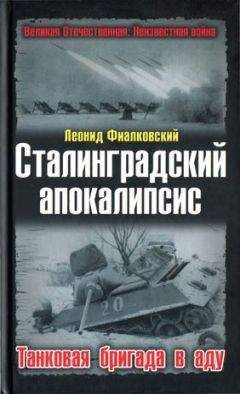 Теодор Хоффман - «Викинги» Гитлера. Эсэсовский интернационал