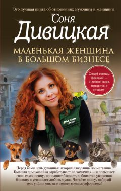 Соня Дивицкая - Дневник невестки