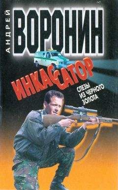 Андрей Воронин - Инкассатор. Рискованная игра