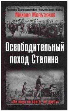 Юрий Мухин - «Крестовый поход на Восток». Гитлеровская Европа против России