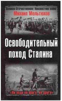 Николай Непомнящий - Неизвестная Великая Отечественная