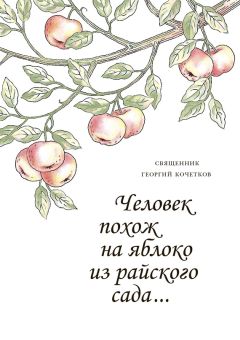 Георгий Кочетков - Человек похож на яблоко из райского сада…