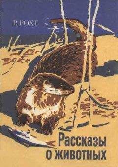 Сергей Алексеев - Собрание сочинений. Том 1. Орда. Куликово поле. Суровый век. Цари и самозванцы. Грозный всадник. Небывалое бывает. Великая Екатерина