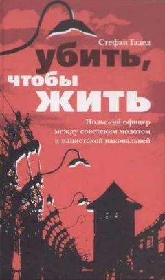 Михаэль Брюннер - На танке через ад. Немецкий танкист на Восточном фронте