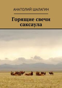 Анатолий Шалагин - Горящие свечи саксаула