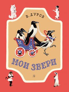 Марсель Марлье - Маруся – подружка всех зверят: В лесу. В деревне (сборник)