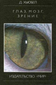 Борис Сергеев - От амёбы до гориллы,  или Как мозг учился думать