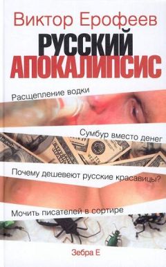 Анатолий Фоменко - Число зверя. Когда был написан Апокалипсис