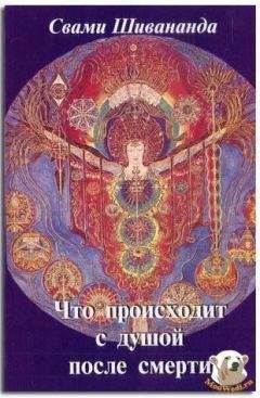 Юрий Зенин - Метафизика бытия